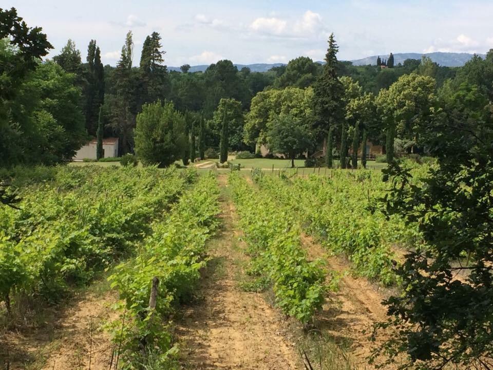 Mas Boudeissoun - Grain De Muscat - Baignade A 600 M Villa Mormoiron Exteriör bild